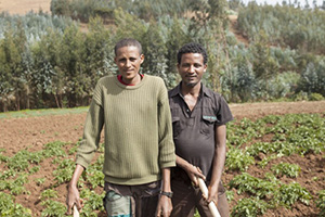 Access to work through subsistence farming may be the reason why outcomes for schizophrenia are better in developing countries than in the industrialised North