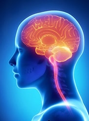 The causes of negative symptoms are very poorly understood and may lie more in the workings of the mind than in the physical nature of the brain.